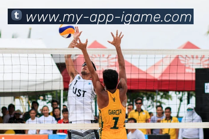 多媒体互动体验